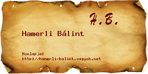 Hamerli Bálint névjegykártya